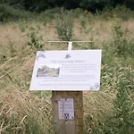 Ballygarry Estate & Τράλι